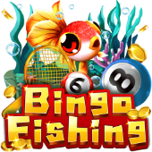 Câu Cá Bingo aqt