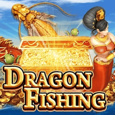 Câu Cá Rồng aqt
